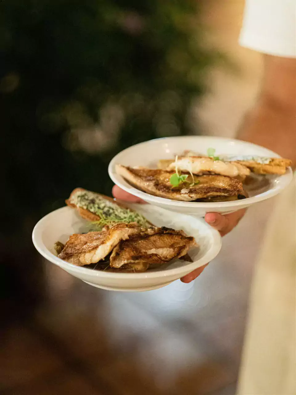 deux assiettes de bouillabaisse sur le bras d’un serveur de l’équipe Marie sur Mer